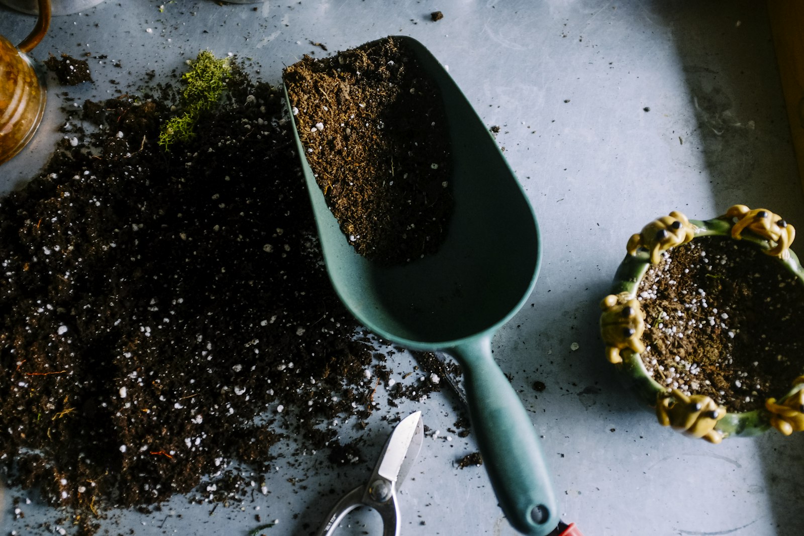 Trowel, soil and secateurs — garden tidy-up tools of the trade